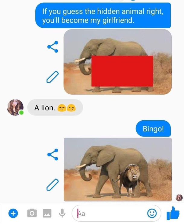 Hidden Animal