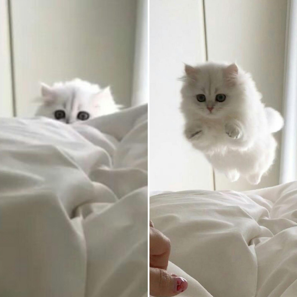 Hide and Seek