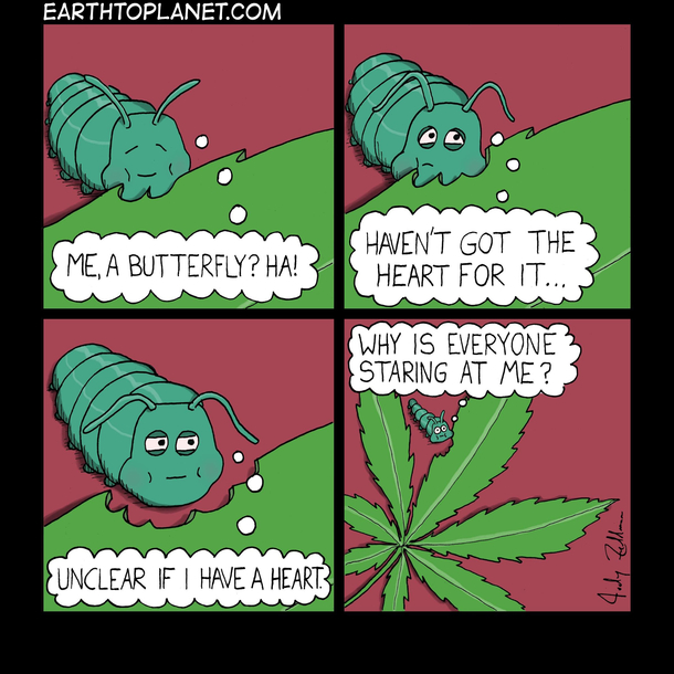 High anxiety
