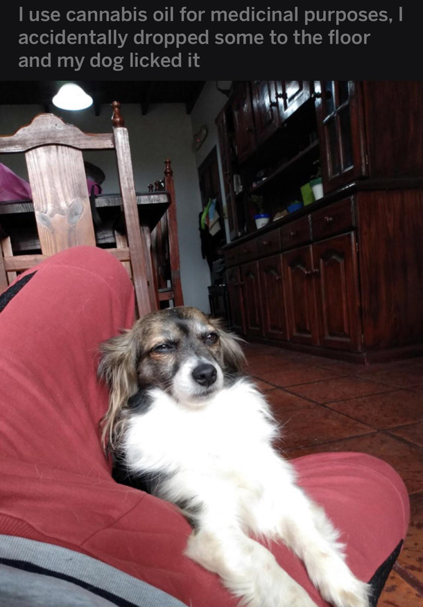 High as a kite