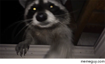 High five