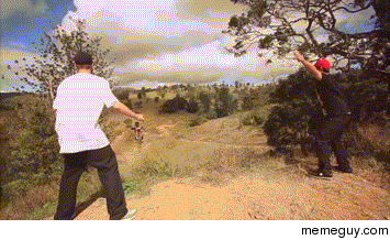 High Five