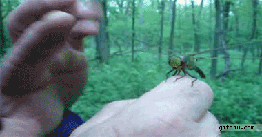High five bro We got this