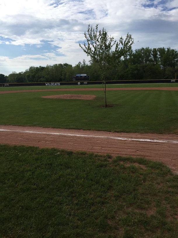 High school pranksters in Ohio planted a tree in the middle of the baseball field