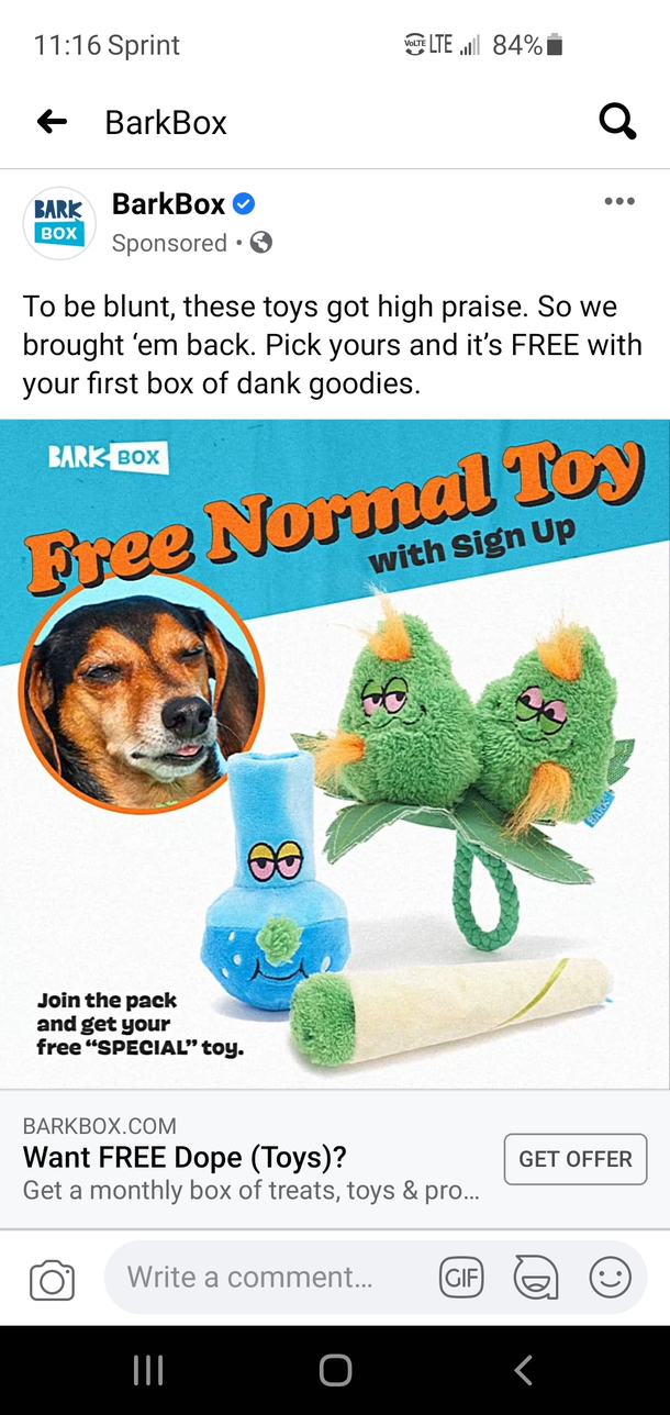 High Standards for dog toys Found on FB