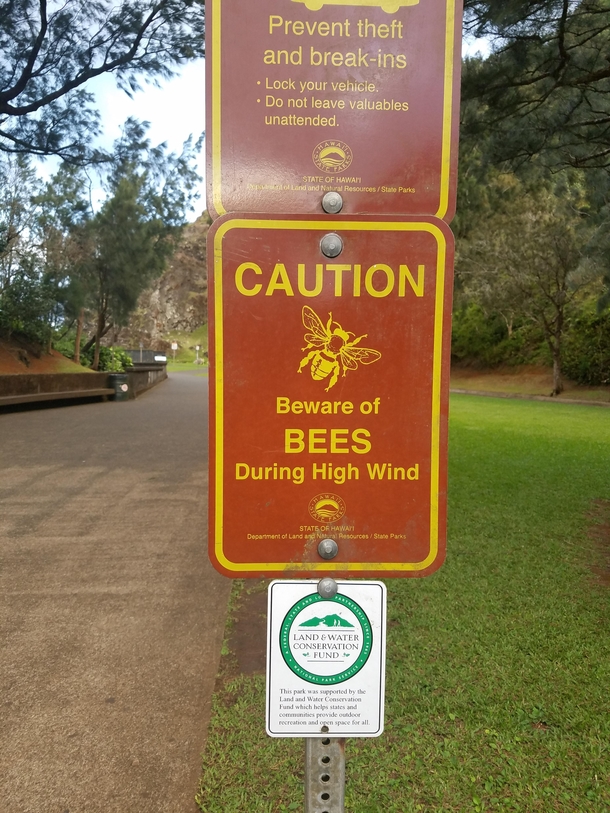 High winds not good enough for you How about we add bees