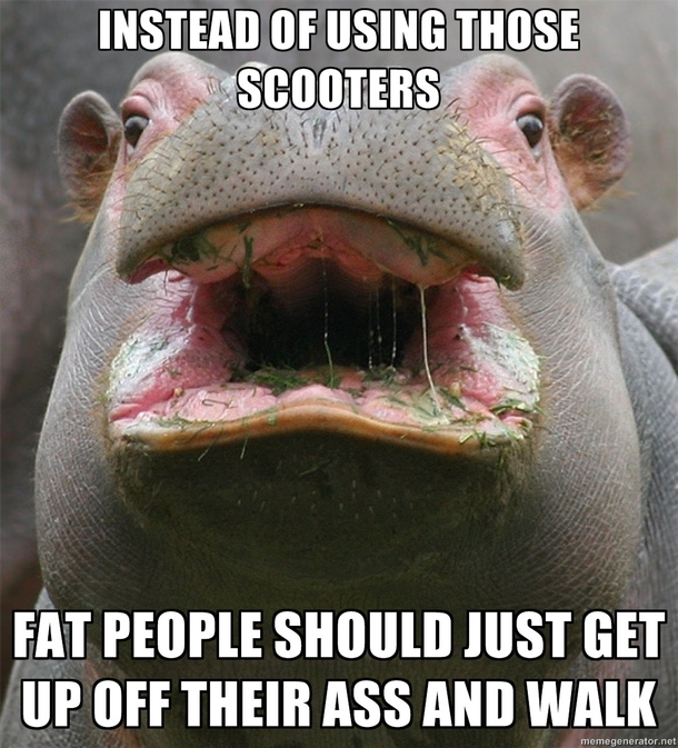 Hippo-crite