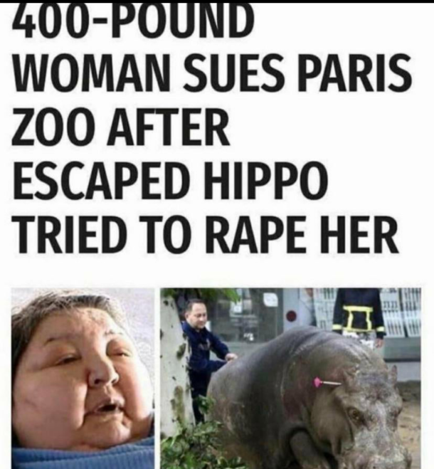 Hippo Has high standards