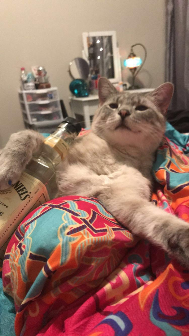 His birthday is a rough time for him