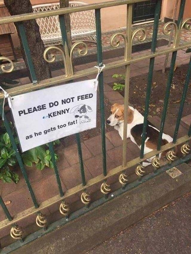 His eyes says it all