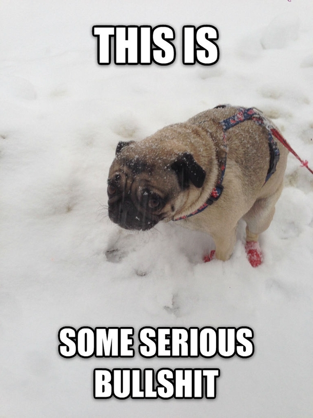 His first snow in Boston after growing up in Honolulu