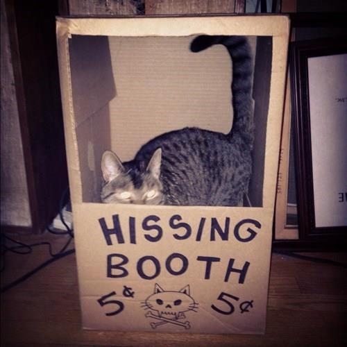 Hissing Booth