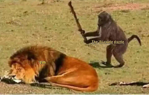 Hit em with it