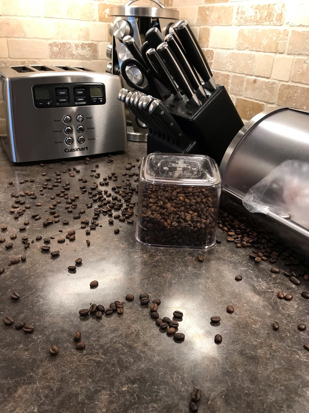 Hit the cupboard door as I was putting the coffee beans back Lid flew off container landed like this