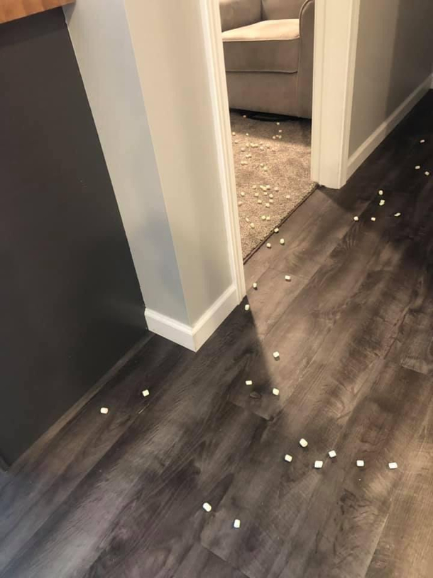 Hmm wonder where my kid went with the marshmallows