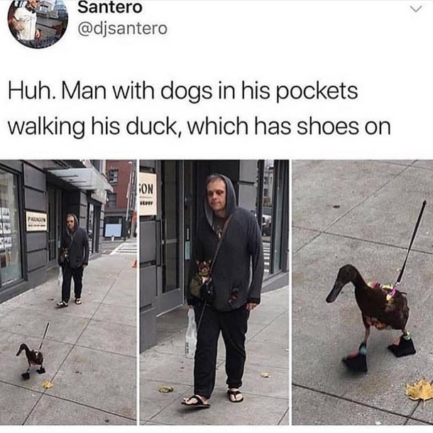 Hmm you dont see that everywhere