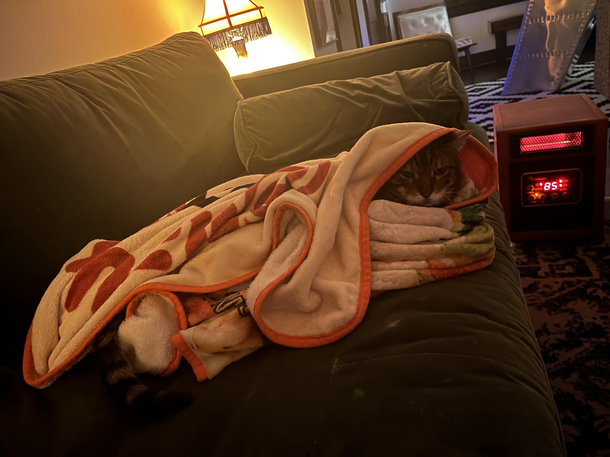 Hobbs is cold and spoiled