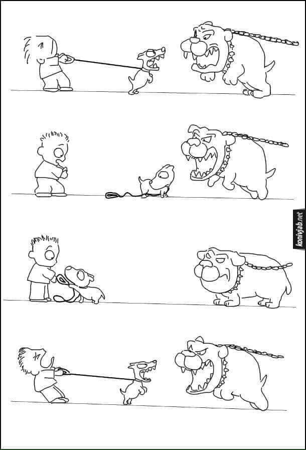 Hold my leash