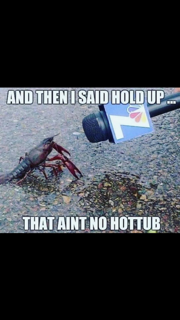 Hold up