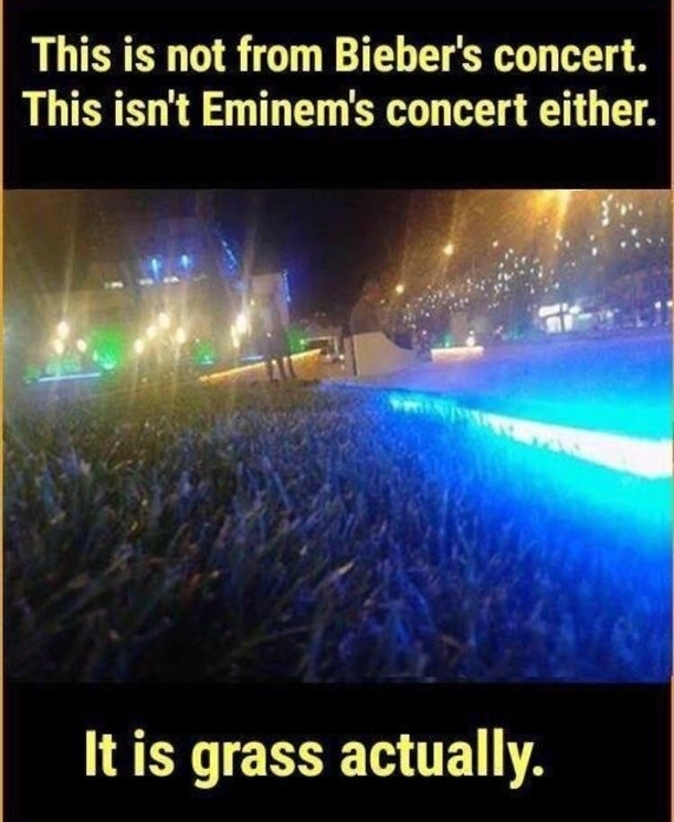 Hold up what