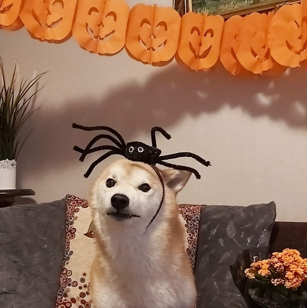 Holidays are such a drag