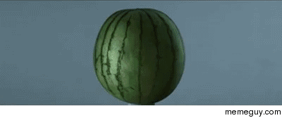 Hollow point through a watermelon