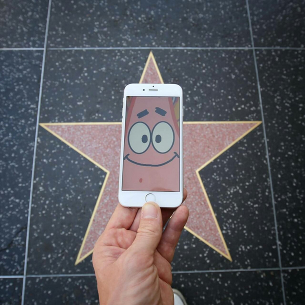Hollywood Starfish