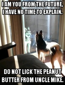 Hologram Dog