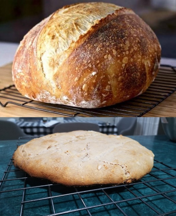 Homemade sourdough bread