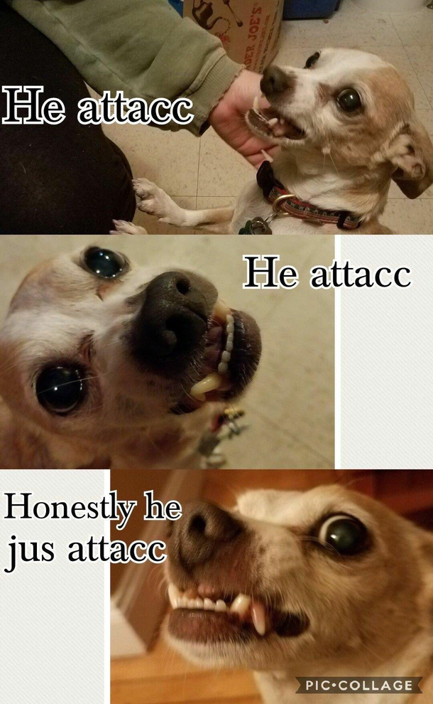 Honestly its all he do