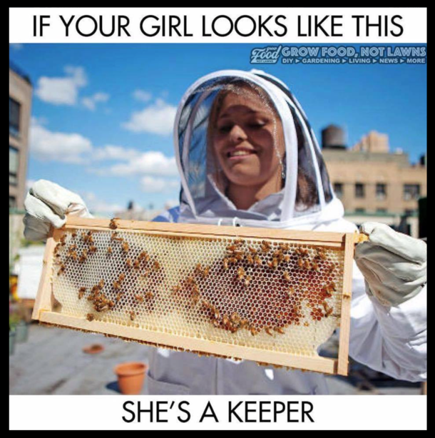 Honey   