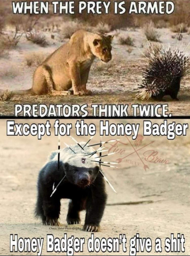 Honey badger dont give a shit