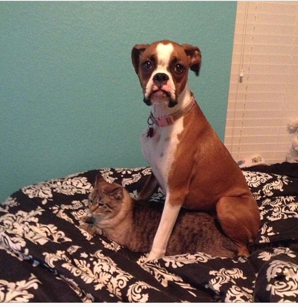 Honey Youre home early