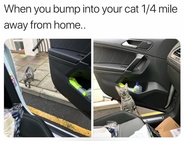 Hop in Im going that way too