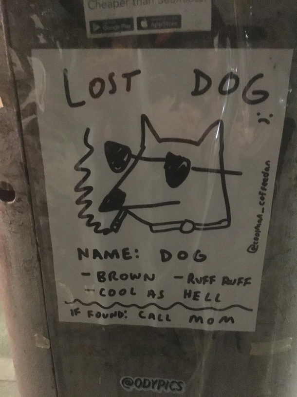 Hope HeShe is found