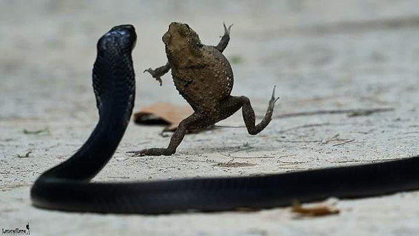 Hoppity poppity i get out of your property