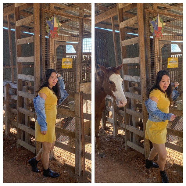 Horse wonders into thanksgiving photo shoot