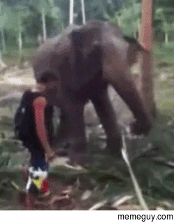 Horton heard a bitch