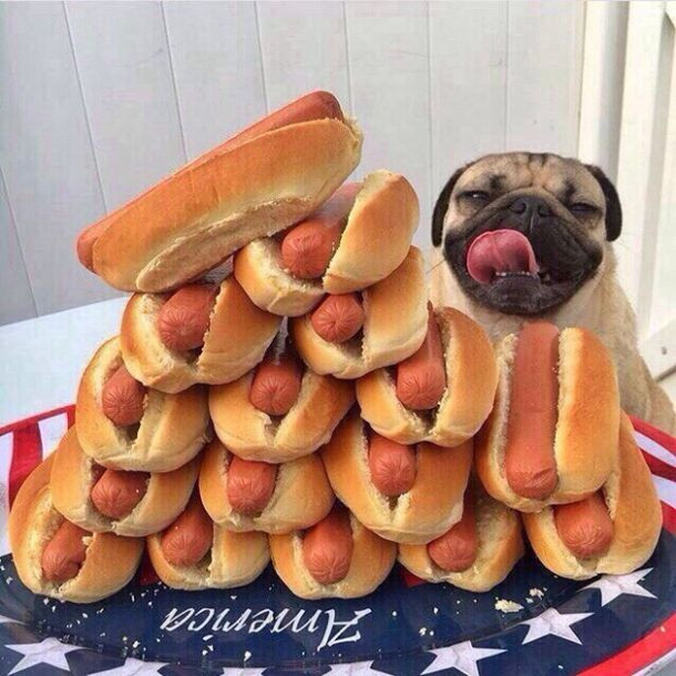 Hot Dog