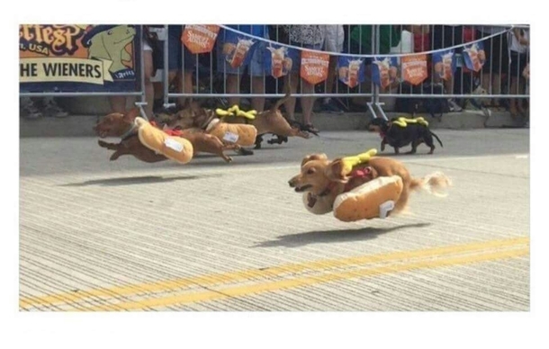Hot dog race