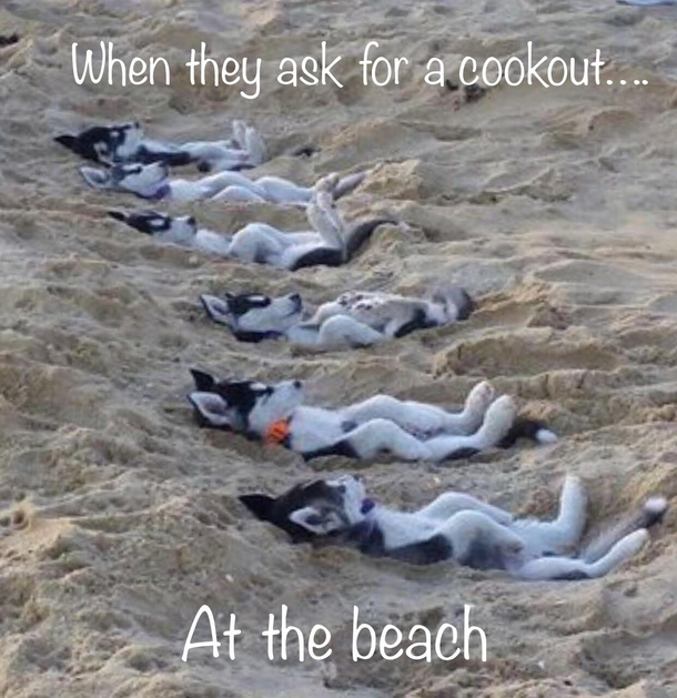 Hotdogs are ready kids