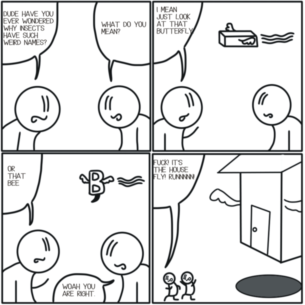House Fly