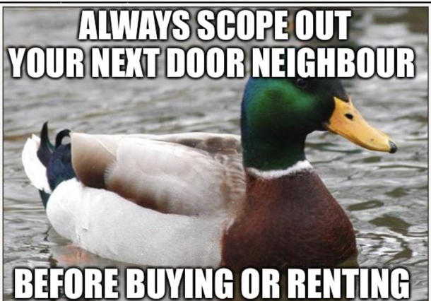 House hunting 