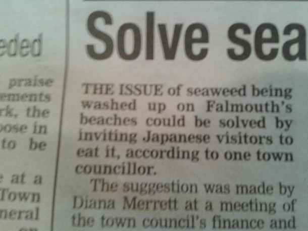 How a British councillor proposes reducing the amount of seaweed on beaches