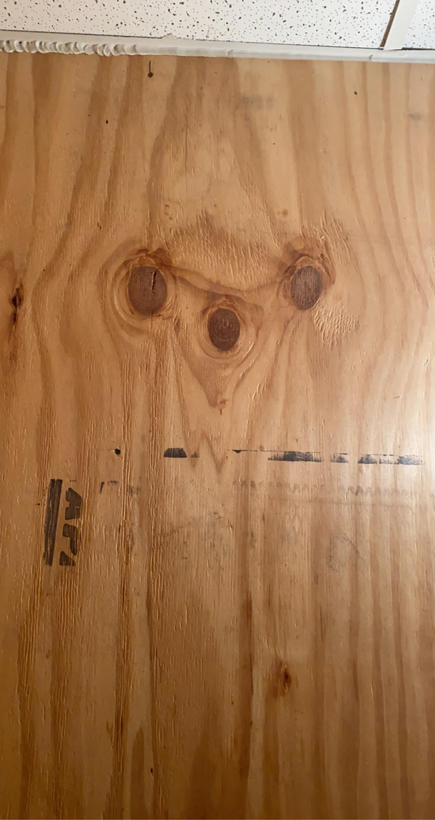 How am I supposed to go to the bathroom with sid the fucking sloth staring at me