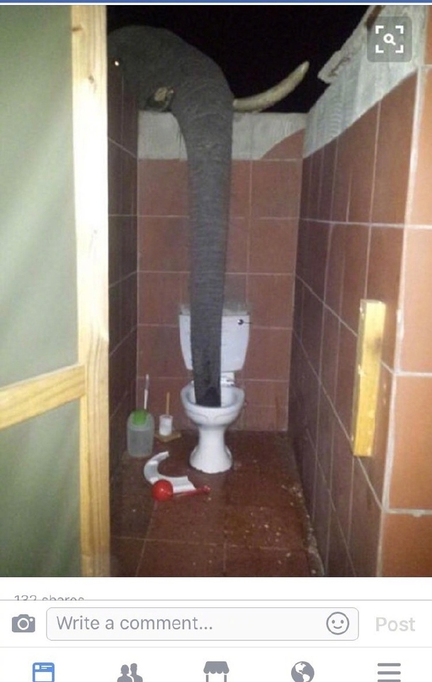 How awkward A toilet in Africa