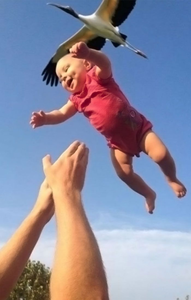 How babies are made