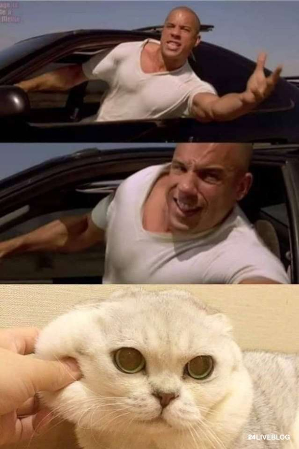 How cute 