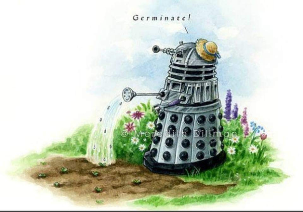 How daleks garden