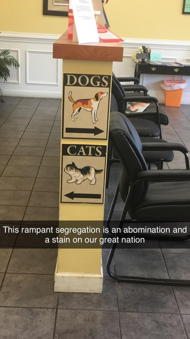 How dare they